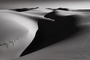 Oceano Dunes #127, CA 2019 © David Ulrich