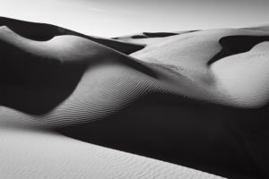 Oceano Dunes #72, CA, 2018 © David Ulrich
