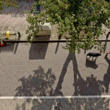 Morning View Below, Asakusa, Tokyo, 2019