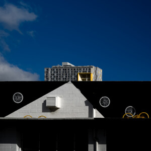Kaka’ako – New Addition