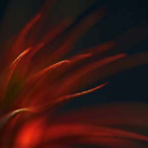 01. Untitled