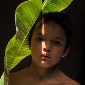 Palm light