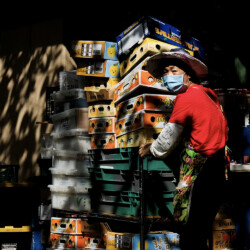 Street Vendor, Kekaulike Market, 2021