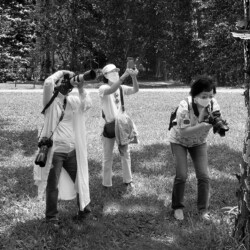 The Immersion,2021
