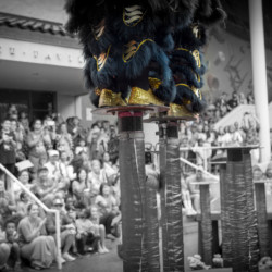 Lunar New Year Celebration at HoMA: Mythic Chinese Lion Climbs Mountain