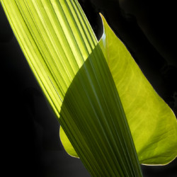 It Takes Two to Tango, 2020