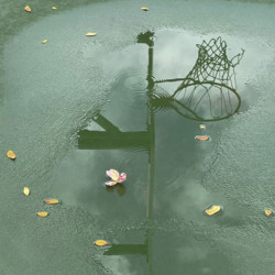 Court Reflections, 2021