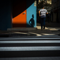 Zebra Crossing, 2021