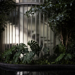 Waiea Luxury, January 2021