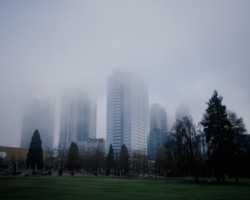 Fog of Bellevue
