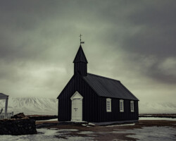 Light in a Desolate Land, 2022