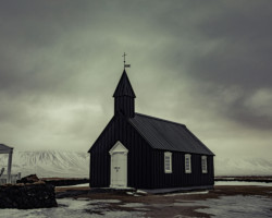 Light in a Desolate Land, 2022