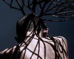Antlers/2022