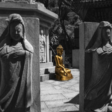 Debra Casey, Mu Ryang Sa Gold Buddha, 2022