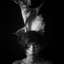 Ivan Wentland, Contemplate, 2023