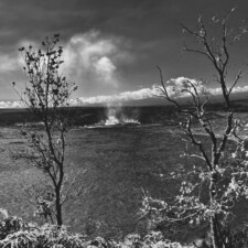 Barbara Fuller, Halema'uma'u--House of the ʻĀmaʻu Fern, 2023