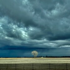 Barbara Fuller, ʻOnipaʻa, 2023