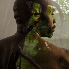 Sarah Hodges, The seed, the flower, The root, the tree, The dream, 2023