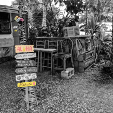 Debra Casey, Aunty's Lil Green Hut 2024