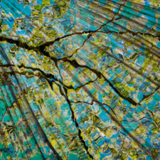 Hawkins Biggins, Biosphere 2024