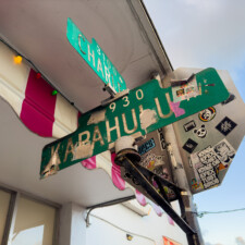 James Charisma, Hu 2024