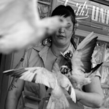 Chan Ka Wing, Winged 2024