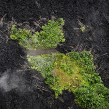 Leslie Gleim, Left Behind 2021, Print Date 2025