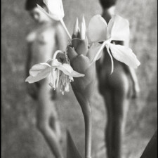 Mark Arbeit, White Ginger 2024