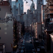 Michael DeMello, Pigeons and Possibilities 2024