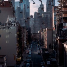 Michael DeMello, Pigeons and Possibilities 2024