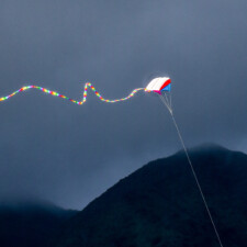 Ron Kodama, Pulses 2024