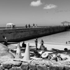 Susan M. Schultz, Two by Two, Waikiki