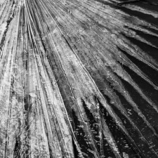 Tracy Chan, Jagged
2023