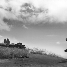 Ualani Davis, Hoʻokupu
2024