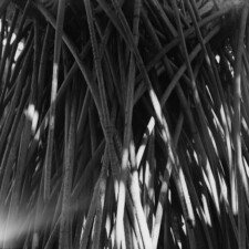 Yola Monakhov Stockton