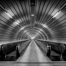 Cliff Kimura, Long Way Home 2024