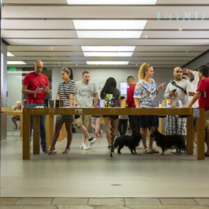 HNL Street Photographers Collective