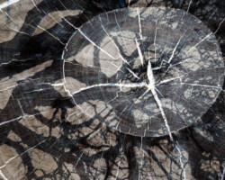 Hawkins Biggins, Remembering, 2025