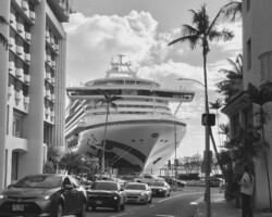 Michelle Manna, Honolulu Rush Hour, 2025