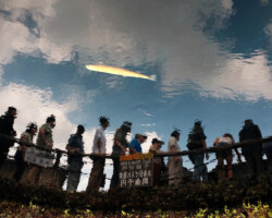 Ty Terada, If Fish Could Fly