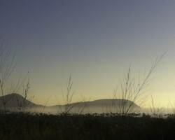 T. Young, Kokohead Dawn, 2024