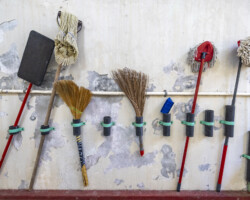 Cora Hiranaka, Order in the Ordinary, 2025